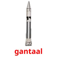 gantaal picture flashcards