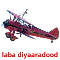 laba diyaaradood picture flashcards