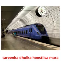 tareenka dhulka hoostiisa mara карточки энциклопедических знаний