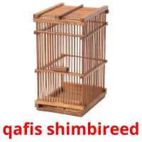 qafis shimbireed Tarjetas didacticas