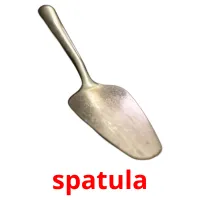 spatula ansichtkaarten