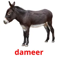 dameer billedkort for børn med billeder