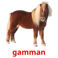 gamman billedkort for børn med billeder