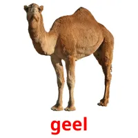 geel billedkort for børn med billeder