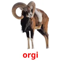 orgi billedkort for børn med billeder
