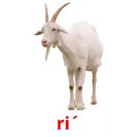 ri´ billedkort for børn med billeder