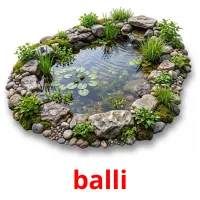 balli Bildkarten für Kinder