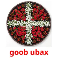 goob ubax Bildkarten für Kinder