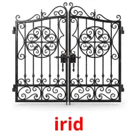 irid Bildkarten für Kinder
