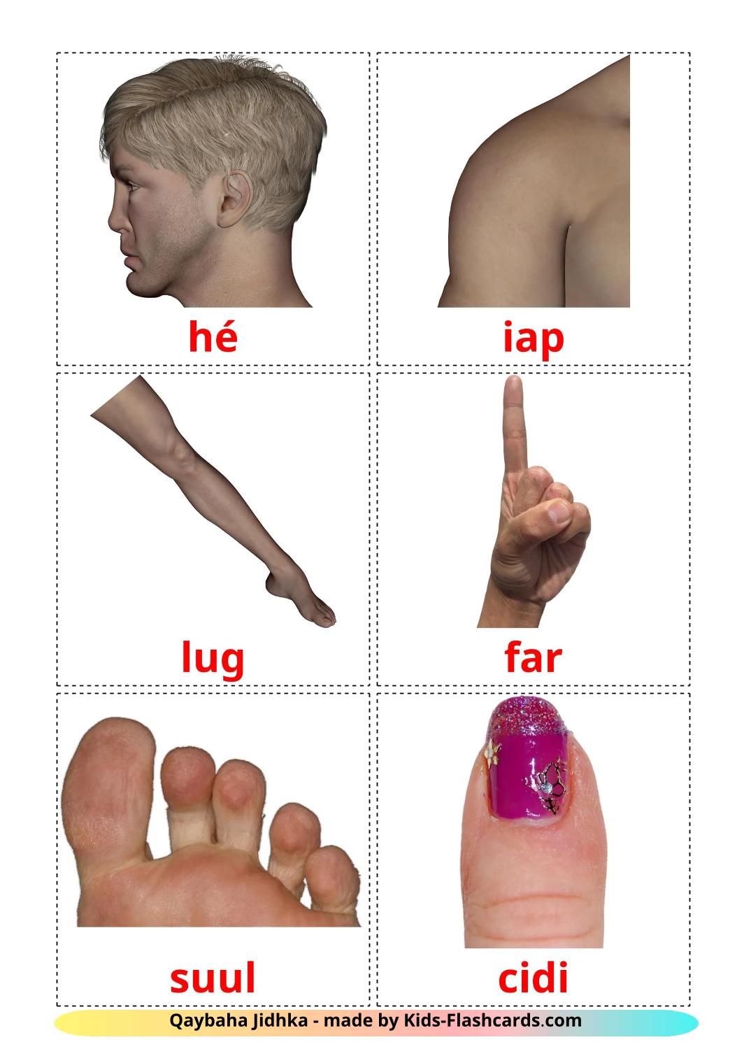 Partes del Cuerpo - 26 fichas de somalí para imprimir gratis