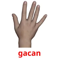 gacan Tarjetas didacticas