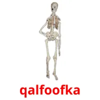 qalfoofka Tarjetas didacticas