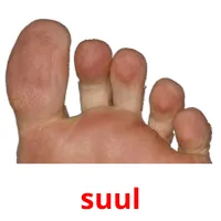 suul Tarjetas didacticas