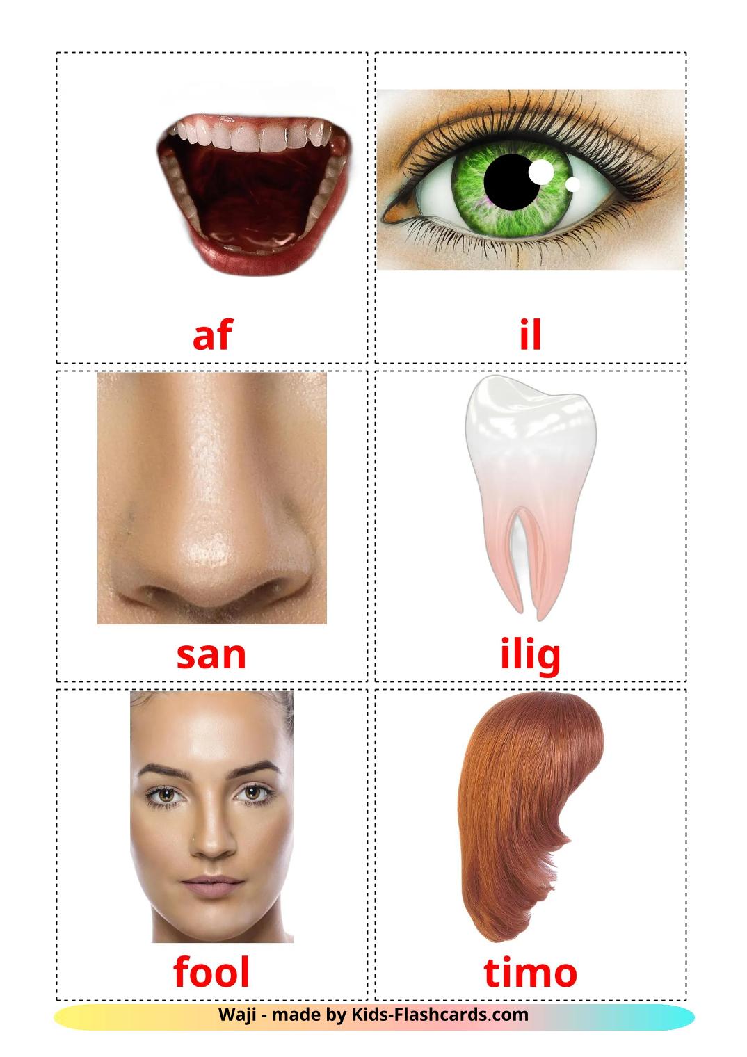 Kasvot – 20 ilmainen tulostettava lasten kuvakortti somalinksi