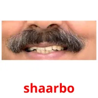 shaarbo kuvakortit