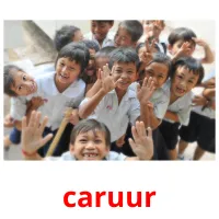 caruur Tarjetas didacticas