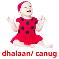 dhalaan/ canug Tarjetas didacticas