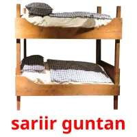 sariir guntan ansichtkaarten