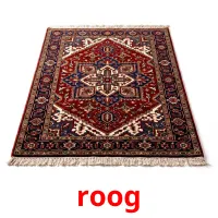 roog Bildkarten für Kinder