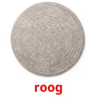 roog Bildkarten für Kinder