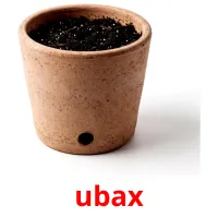 ubax Bildkarten für Kinder
