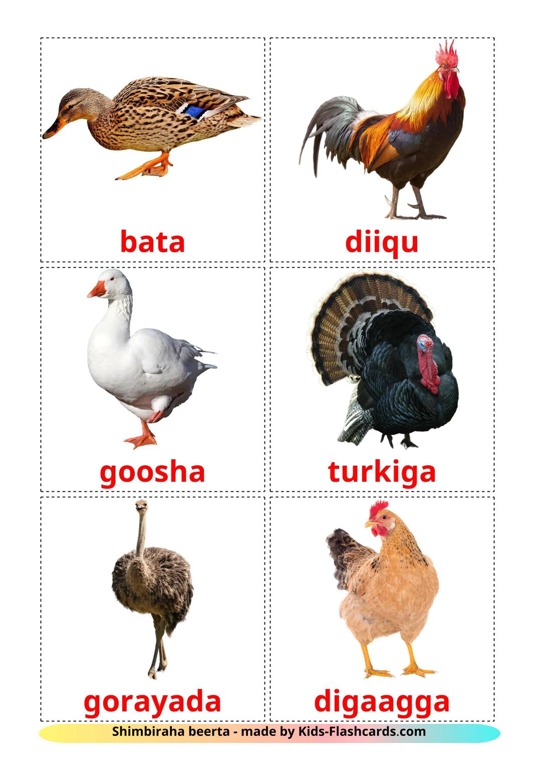 Farm birds - 12 Free Printable somali Flashcards