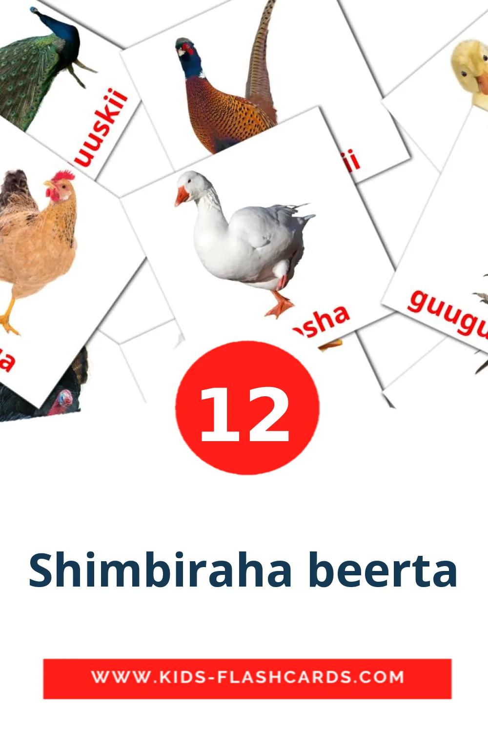 12 Shimbiraha beerta Picture Cards for Kindergarden in somali