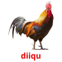 diiqu picture flashcards