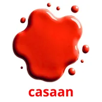 casaan cartes de vocabulaire