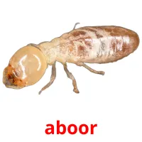 aboor bildkort för barn