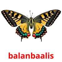 balanbaalis bildkort för barn