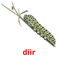 diir bildkort för barn