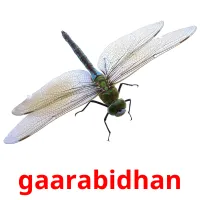 gaarabidhan bildkort för barn