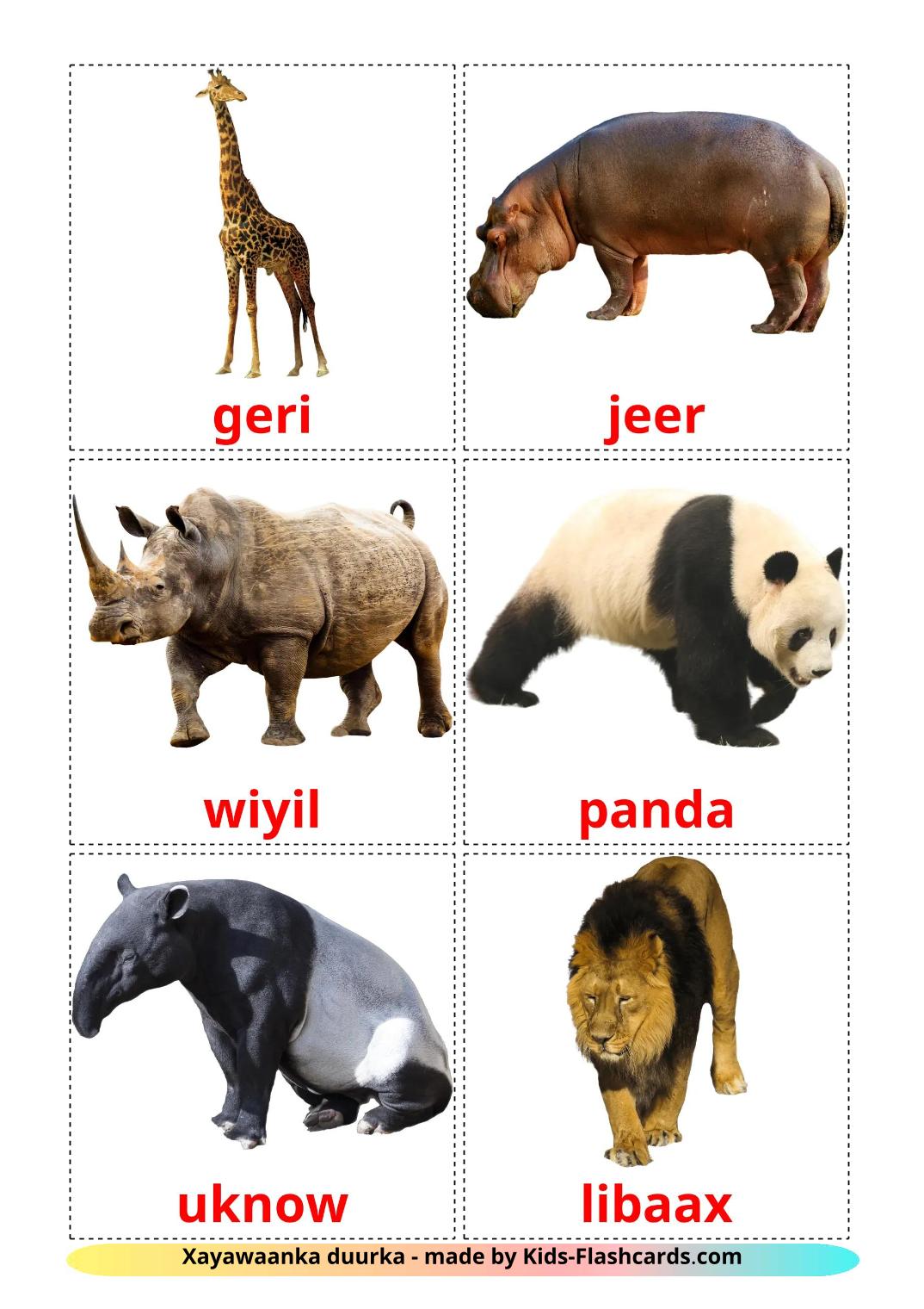 Animales de la Selva - 22 fichas de somalí para imprimir gratis 