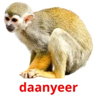 daanyeer Tarjetas didacticas