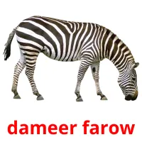 dameer farow Tarjetas didacticas