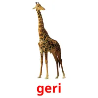 geri Tarjetas didacticas