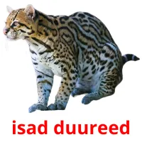 isad duureed Tarjetas didacticas