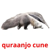 quraanjo cune Tarjetas didacticas