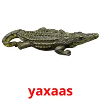 yaxaas Tarjetas didacticas