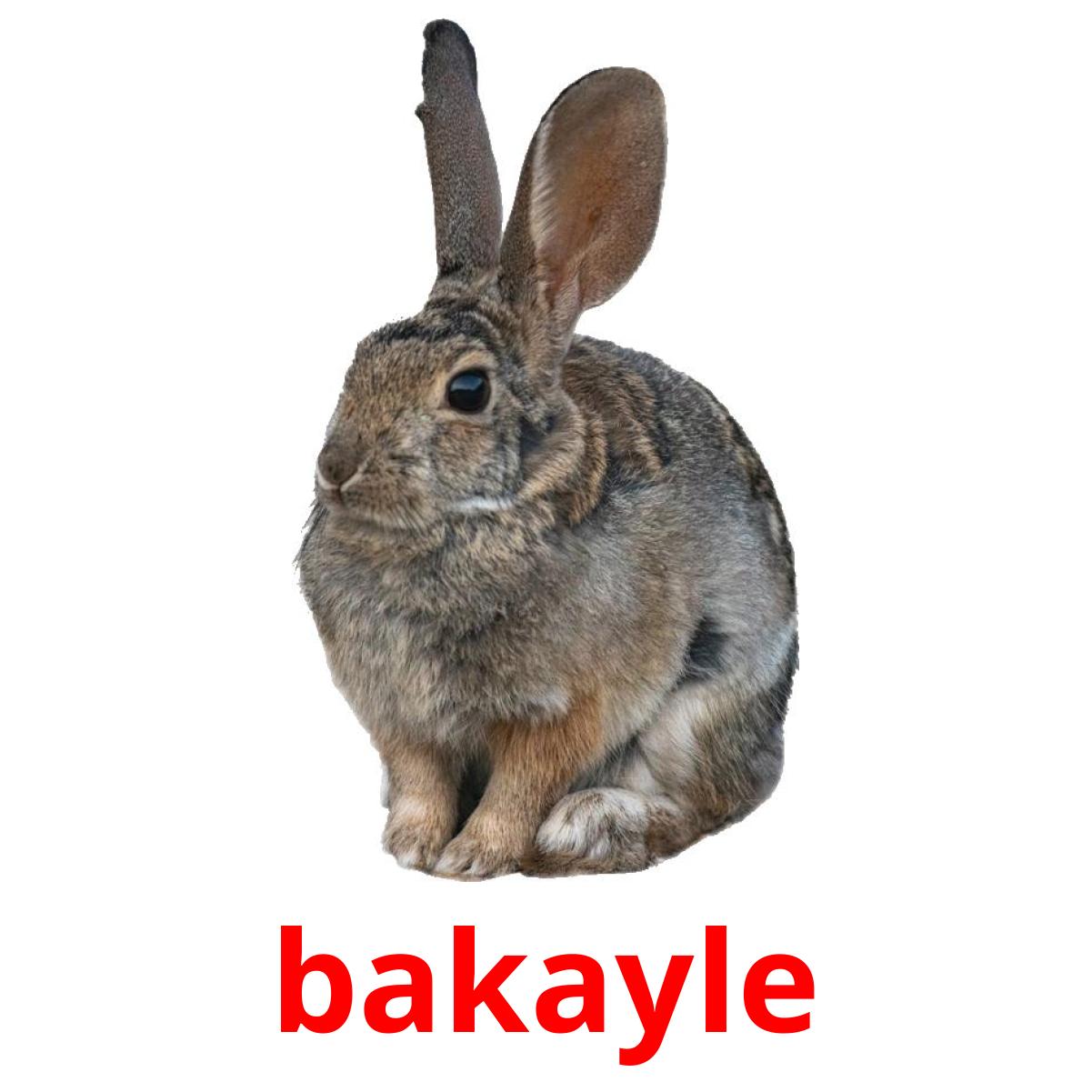 bakayle picture flashcards
