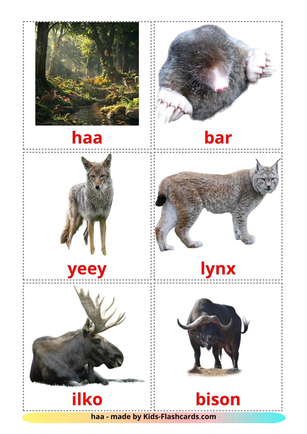 Forest animals - 23 Free Printable somali Flashcards