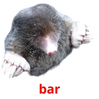 bar picture flashcards