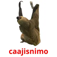 caajisnimo picture flashcards