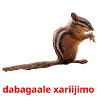 dabagaale xariijimo picture flashcards