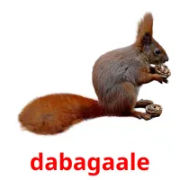 dabagaale picture flashcards