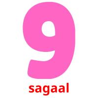 sagaal picture flashcards