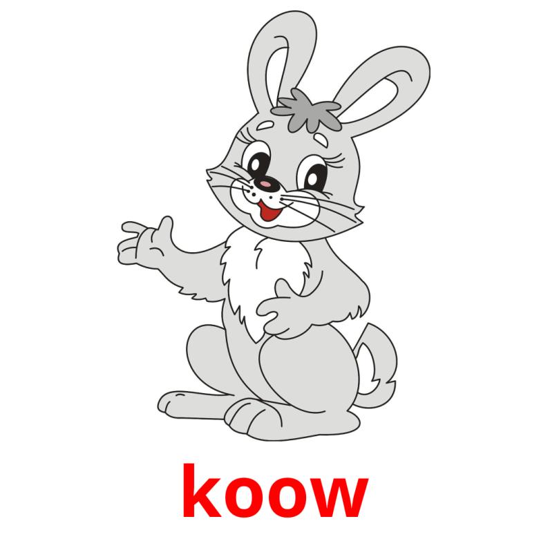 koow picture flashcards