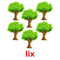 lix picture flashcards