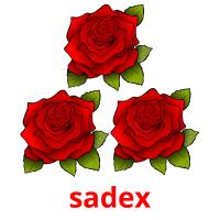 sadex flashcards illustrate